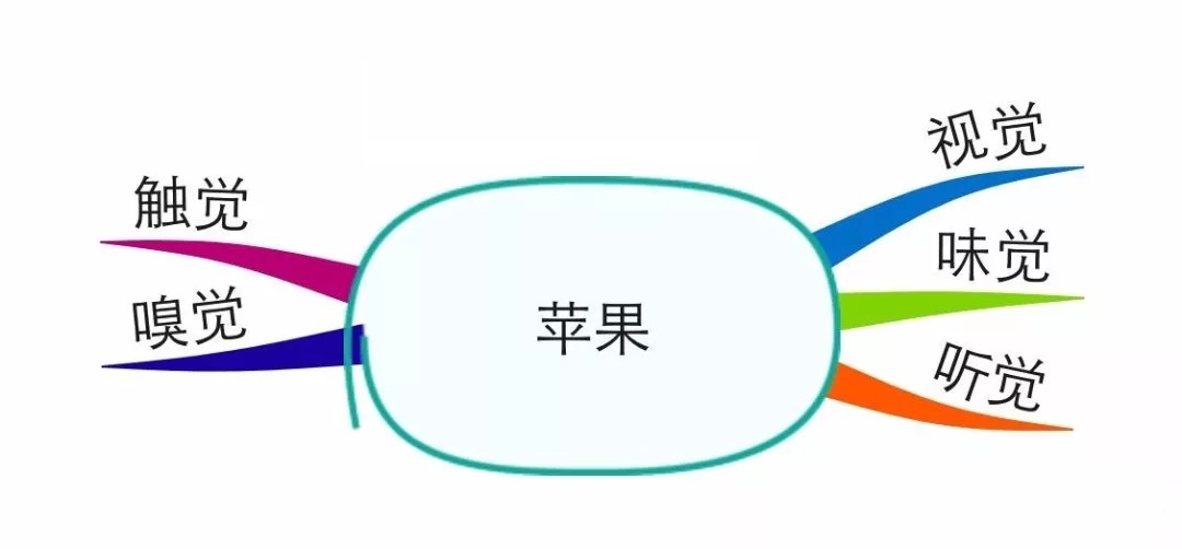 5.webp.jpg